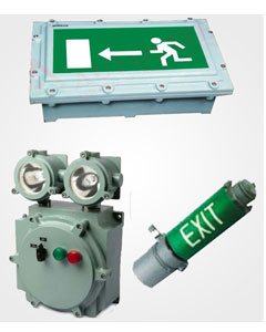 Flameproof Exit Light Fitting